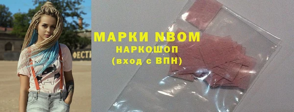 стаф Аркадак