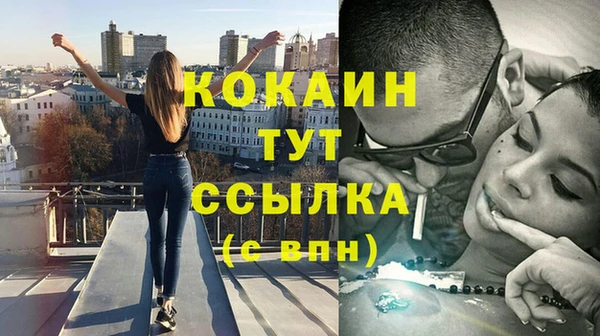 стаф Аркадак