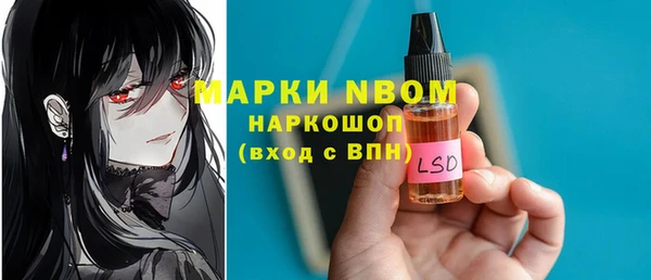 стаф Аркадак