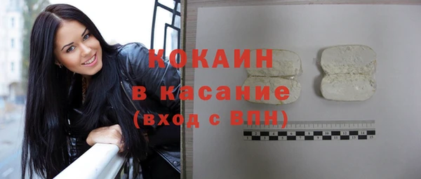 стаф Аркадак
