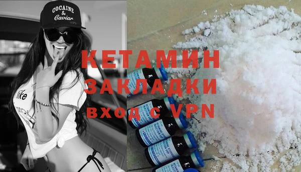 стаф Аркадак