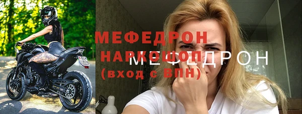 стаф Аркадак