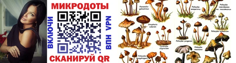 Псилоцибиновые грибы ЛСД  гидра   Осинники  где продают наркотики 